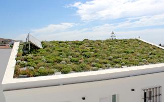 Pitched green roof